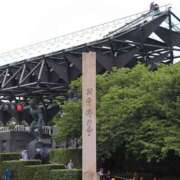 ヒメ日記 2025/12/31 19:08 投稿 りき 妻天 日本橋店