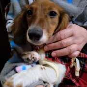 ヒメ日記 2025/12/31 20:49 投稿 りき 妻天 日本橋店