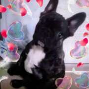 ヒメ日記 2026/01/12 04:09 投稿 りき 妻天 日本橋店