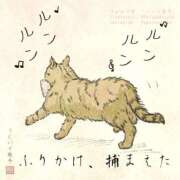 ヒメ日記 2026/02/01 04:11 投稿 りき 妻天 日本橋店