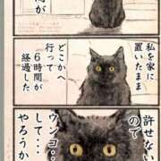 ヒメ日記 2026/02/14 11:19 投稿 りき 妻天 日本橋店