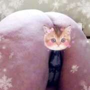 ヒメ日記 2026/03/05 04:09 投稿 りき 妻天 日本橋店