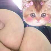 りき おはようございます 妻天 日本橋店