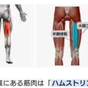 ヒメ日記 2026/03/18 04:11 投稿 りき 妻天 日本橋店
