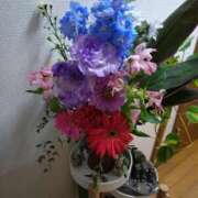 ヒメ日記 2026/04/25 09:52 投稿 りき 妻天 日本橋店