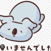 ヒメ日記 2026/06/15 15:35 投稿 りき 妻天 日本橋店