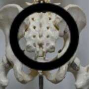 ヒメ日記 2024/12/28 13:02 投稿 りこ 前立腺マッサージ専門 もぐらのM性感