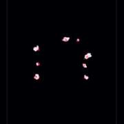 ヒメ日記 2025/05/02 06:38 投稿 わかな 人妻美人館