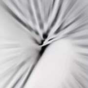 ヒメ日記 2025/07/28 22:43 投稿 わかな 人妻美人館