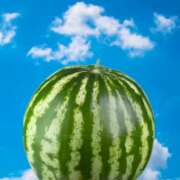 ヒメ日記 2025/07/31 19:16 投稿 わかな 人妻美人館