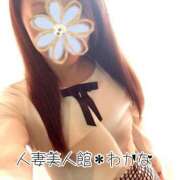 ヒメ日記 2025/07/31 22:01 投稿 わかな 人妻美人館