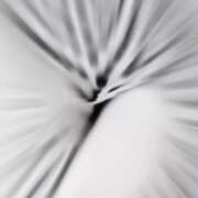 ヒメ日記 2025/09/25 12:52 投稿 わかな 人妻美人館