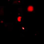 ヒメ日記 2025/11/25 08:43 投稿 わかな 人妻美人館