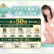 ヒメ日記 2026/09/09 23:16 投稿 わかな 人妻美人館