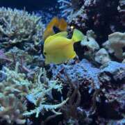 ヒメ日記 2025/08/07 17:39 投稿 みゆな 大和人妻城