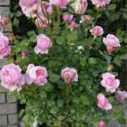 みゆな 8月 大和人妻城