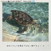 ヒメ日記 2023/10/05 05:40 投稿 くみこ 脱がされたい人妻 木更津店