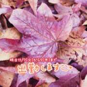 ヒメ日記 2023/11/06 22:11 投稿 くみこ 脱がされたい人妻 木更津店