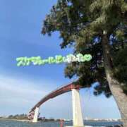 ヒメ日記 2025/01/15 15:21 投稿 くみこ 脱がされたい人妻 木更津店