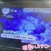 ヒメ日記 2025/01/21 09:10 投稿 くみこ 脱がされたい人妻 木更津店