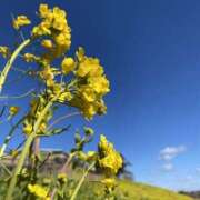 ヒメ日記 2025/02/12 09:31 投稿 くみこ 脱がされたい人妻 木更津店