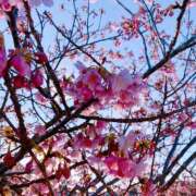 ヒメ日記 2025/02/19 09:51 投稿 くみこ 脱がされたい人妻 木更津店