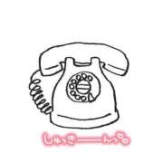 ヒメ日記 2025/03/13 09:57 投稿 くみこ 脱がされたい人妻 木更津店