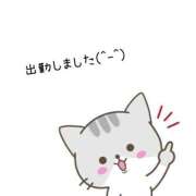 ヒメ日記 2025/03/17 10:05 投稿 くみこ 脱がされたい人妻 木更津店