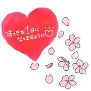 ヒメ日記 2025/04/03 09:44 投稿 くみこ 脱がされたい人妻 木更津店