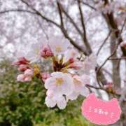 ヒメ日記 2025/04/07 10:28 投稿 くみこ 脱がされたい人妻 木更津店