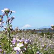 ヒメ日記 2025/04/22 09:57 投稿 くみこ 脱がされたい人妻 木更津店