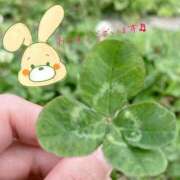 ヒメ日記 2025/05/20 10:01 投稿 くみこ 脱がされたい人妻 木更津店