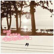 ヒメ日記 2025/05/23 10:02 投稿 くみこ 脱がされたい人妻 木更津店