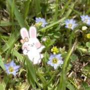 ヒメ日記 2025/05/29 09:57 投稿 くみこ 脱がされたい人妻 木更津店