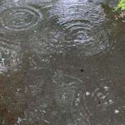 ヒメ日記 2025/05/30 12:29 投稿 くみこ 脱がされたい人妻 木更津店