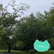 ヒメ日記 2025/06/04 09:45 投稿 くみこ 脱がされたい人妻 木更津店