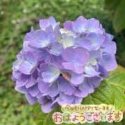 ヒメ日記 2025/06/05 09:34 投稿 くみこ 脱がされたい人妻 木更津店