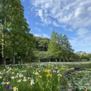 ヒメ日記 2025/06/17 11:09 投稿 くみこ 脱がされたい人妻 木更津店