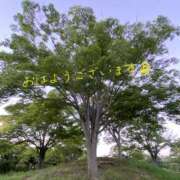 ヒメ日記 2025/06/18 09:51 投稿 くみこ 脱がされたい人妻 木更津店