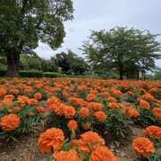 ヒメ日記 2025/06/19 10:05 投稿 くみこ 脱がされたい人妻 木更津店