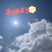 ヒメ日記 2025/06/20 09:44 投稿 くみこ 脱がされたい人妻 木更津店