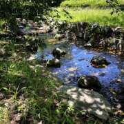 ヒメ日記 2025/06/23 09:55 投稿 くみこ 脱がされたい人妻 木更津店