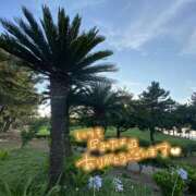 ヒメ日記 2025/07/01 09:33 投稿 くみこ 脱がされたい人妻 木更津店