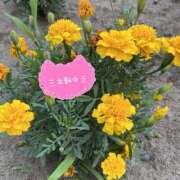 ヒメ日記 2025/07/02 09:45 投稿 くみこ 脱がされたい人妻 木更津店