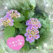 ヒメ日記 2025/07/04 09:54 投稿 くみこ 脱がされたい人妻 木更津店