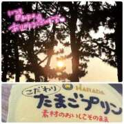 ヒメ日記 2025/07/09 10:11 投稿 くみこ 脱がされたい人妻 木更津店
