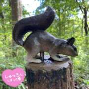 ヒメ日記 2025/07/16 09:40 投稿 くみこ 脱がされたい人妻 木更津店