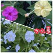 ヒメ日記 2025/07/17 09:41 投稿 くみこ 脱がされたい人妻 木更津店