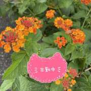 ヒメ日記 2025/07/30 10:38 投稿 くみこ 脱がされたい人妻 木更津店