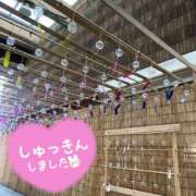 ヒメ日記 2025/08/13 09:11 投稿 くみこ 脱がされたい人妻 木更津店